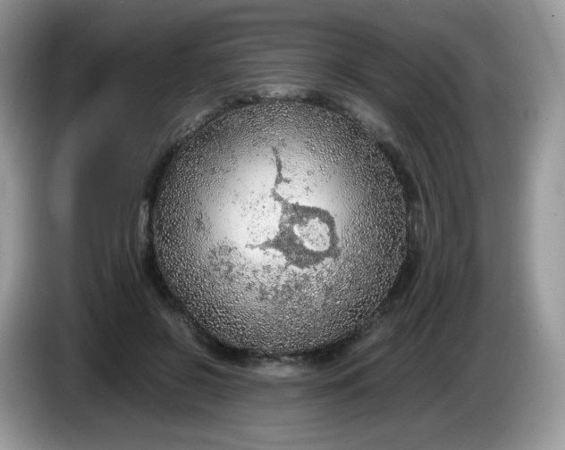 X0000086230550200704121917