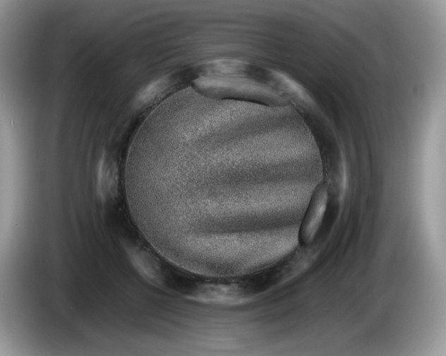 X0000086230552200704121917