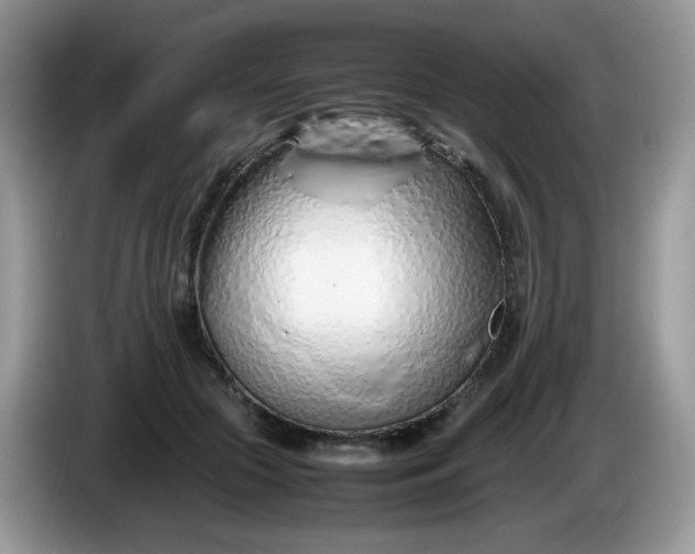 X0000086230553200704121917