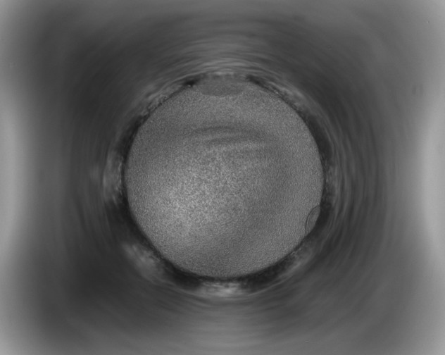 X0000086230554200704121917