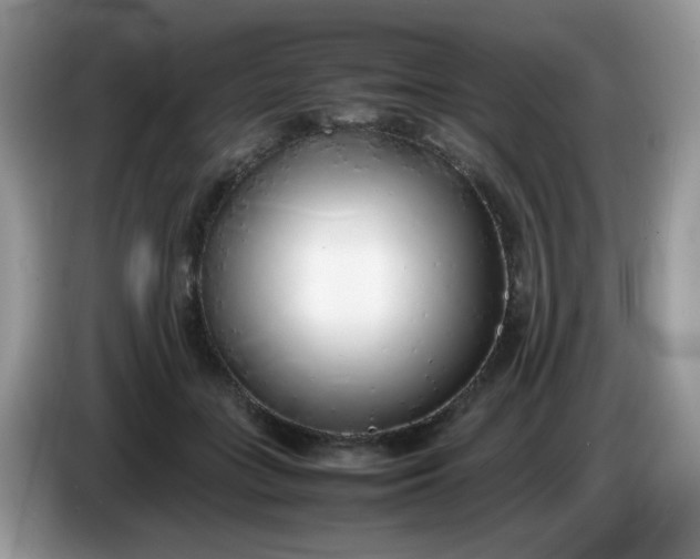 X0000086230555200704121917