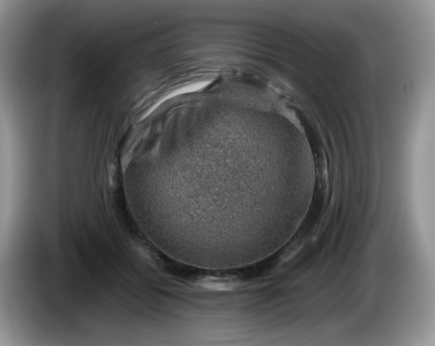 X0000086230556200704121917