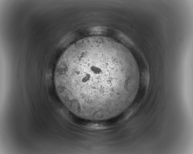 X0000086230557200704121917