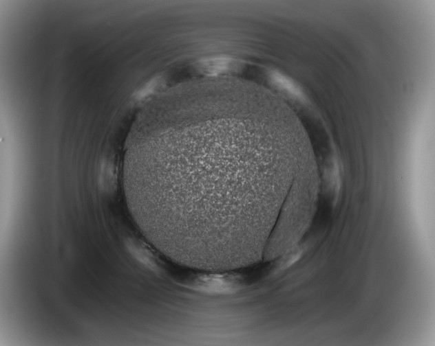 X0000086230558200704121917