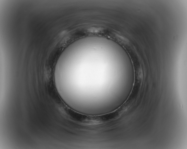 X0000086230559200704121917