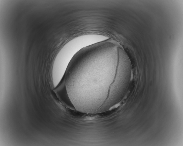 X0000086230560200704121917