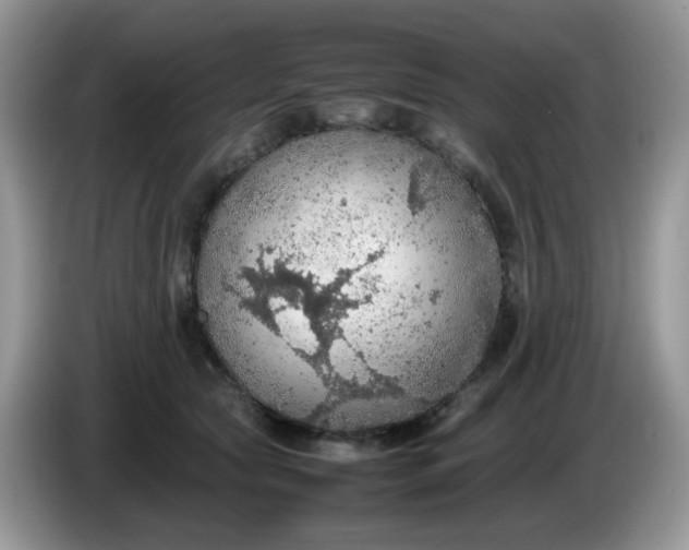 X0000086230561200704121917