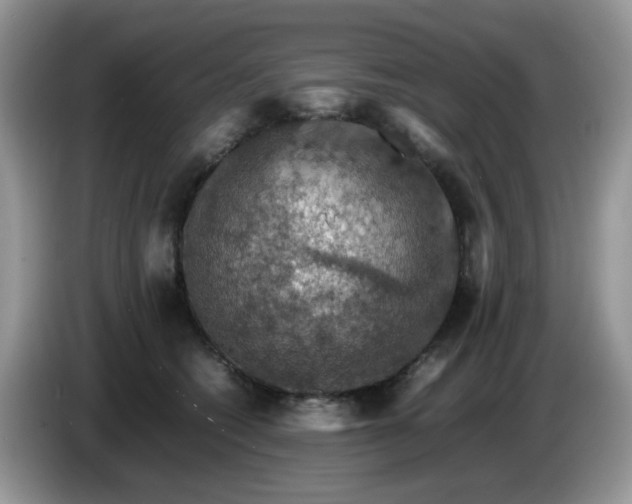 X0000086230562200704121917