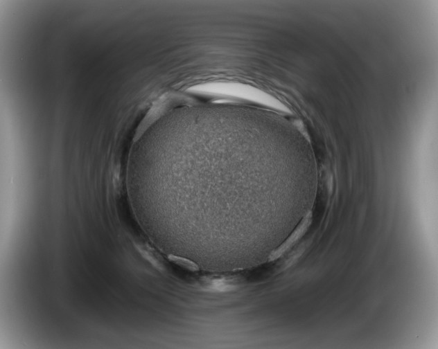 X0000086230564200704121917