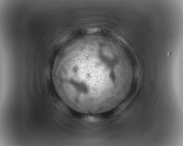 X0000086230565200704121917