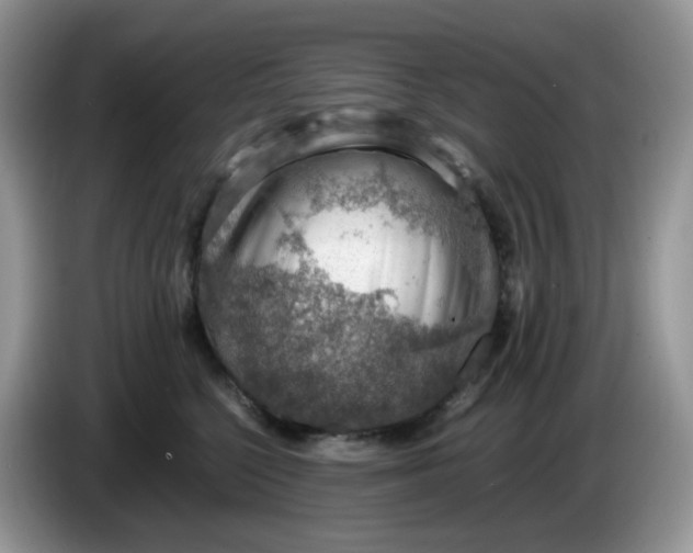 X0000086230568200704121917