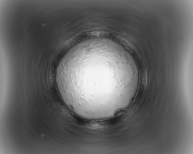 X0000086230569200704121917