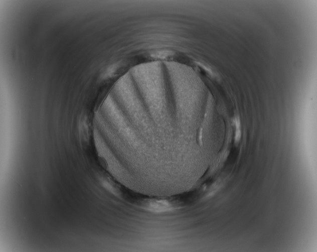 X0000086230572200704121917