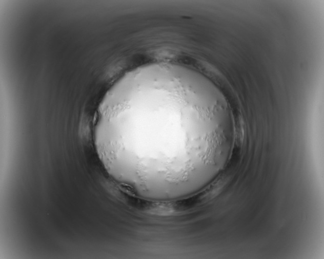 X0000086230573200704121917