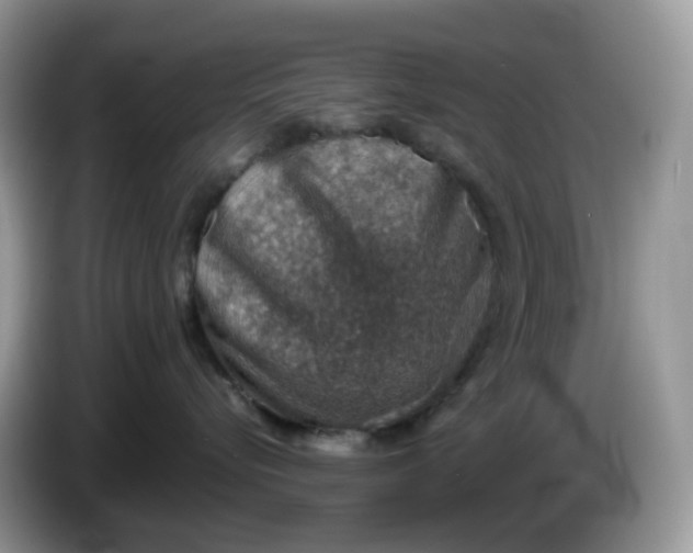 X0000086230576200704121917