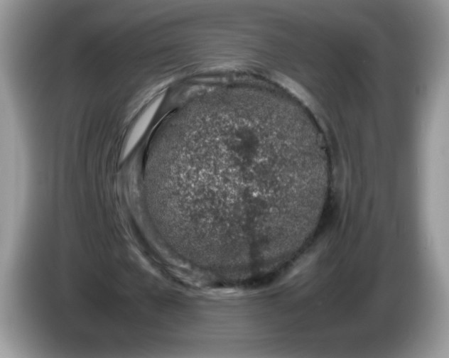 X0000086230577200704121917