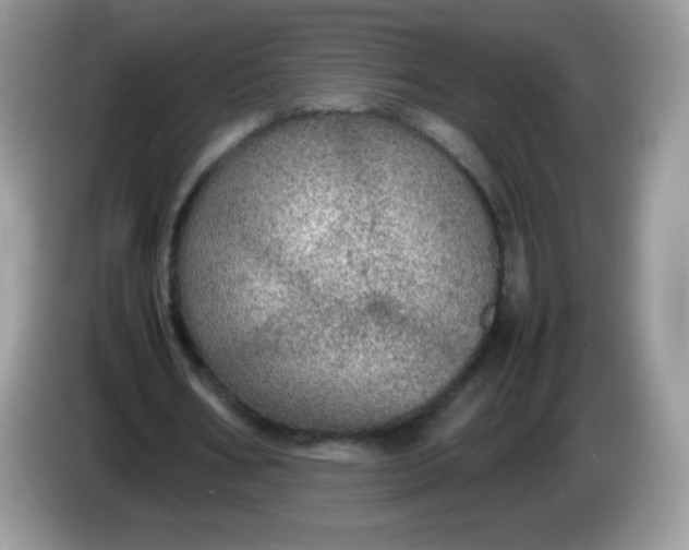 X0000086230578200704121917