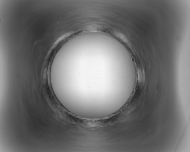 X0000086230579200704121917