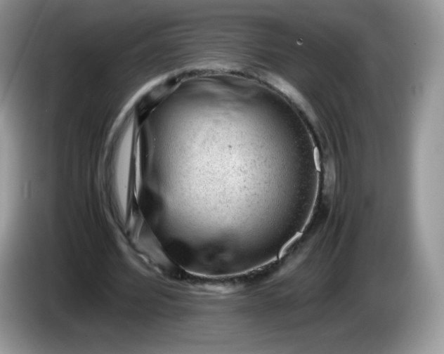 X0000086230580200704121917