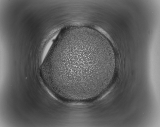 X0000086230581200704121917