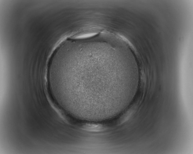 X0000086230582200704121917