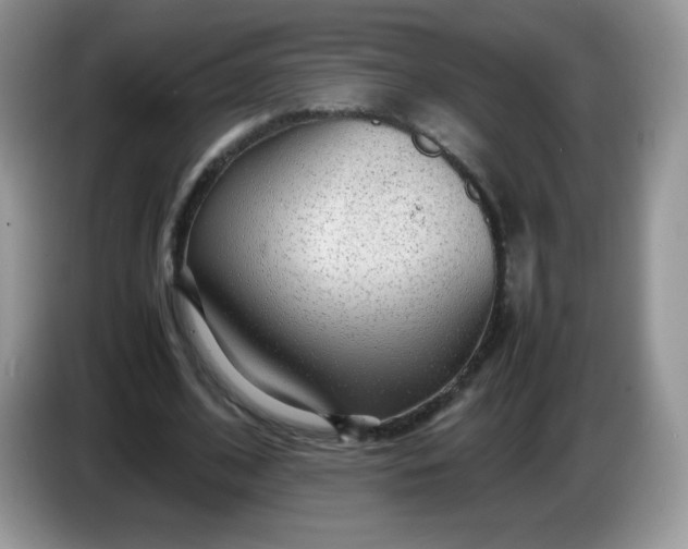 X0000086230584200704121917