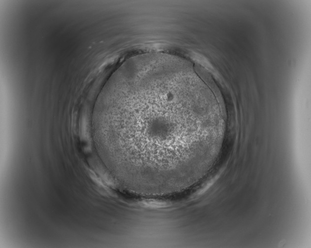 X0000086230585200704121917