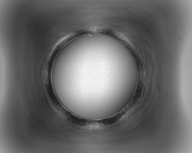 X0000086230587200704121917