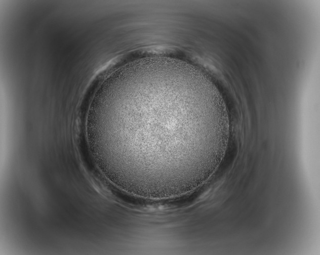 X0000086230591200704121917