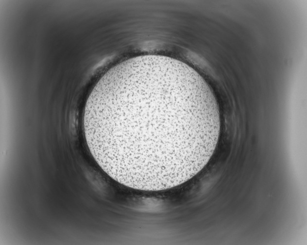 X0000086230592200704121917