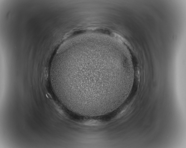 X0000086230593200704121917