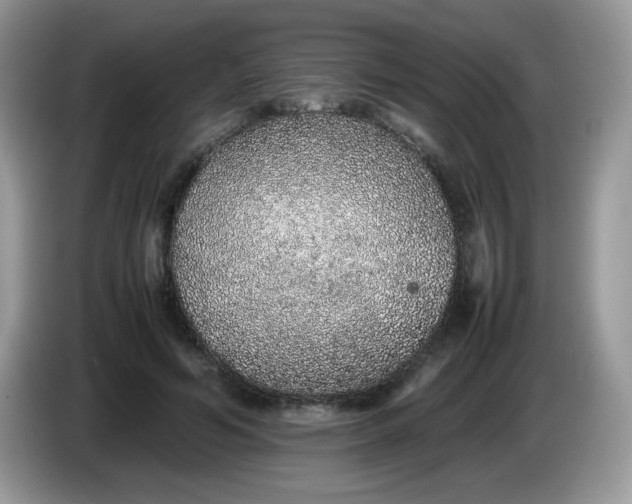 X0000086230594200704121917