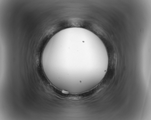 X0000086230595200704121916