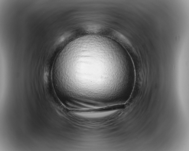 X0000086230596200704121916