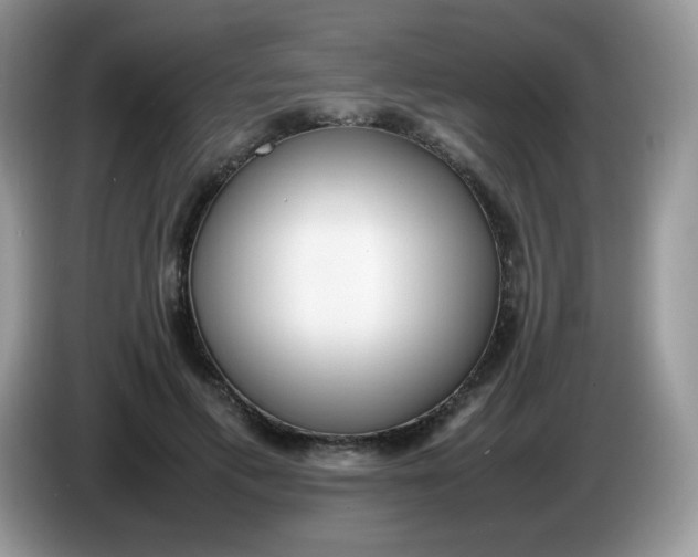 X0000086230597200704121916