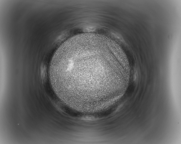 X0000086230598200704121916