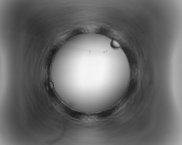 X0000086230599200704121916