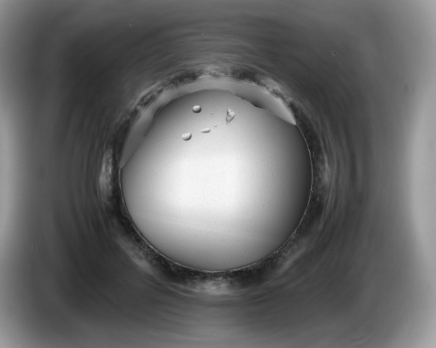 X0000086230600200704121916