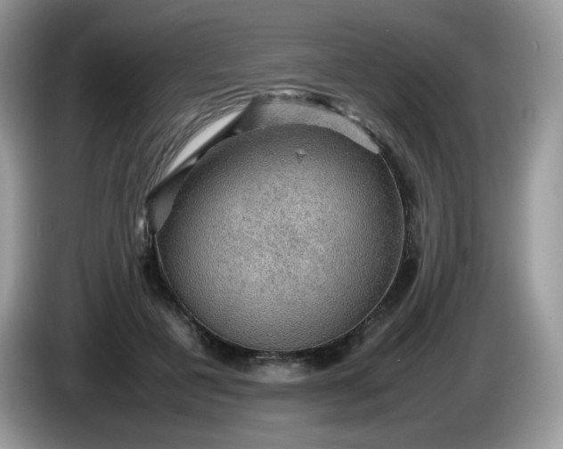 X0000086230601200704121916