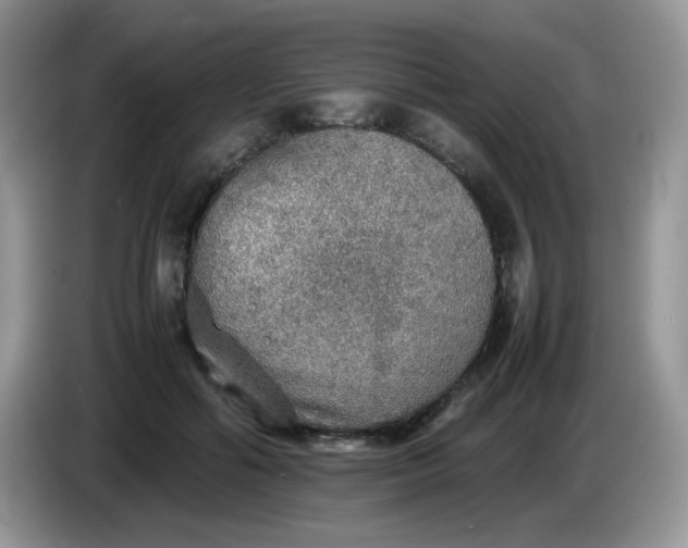 X0000086230602200704121916