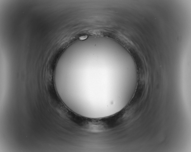 X0000086230603200704121916