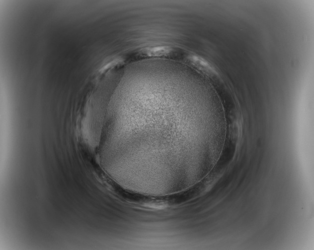 X0000086230604200704121916