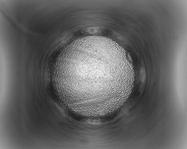 X0000086230606200704121916