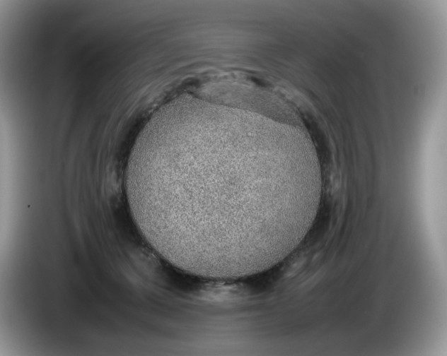 X0000086230607200704121916