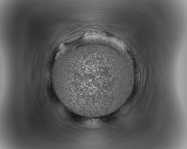 X0000086230609200704121916