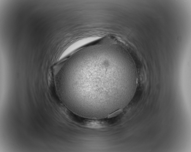 X0000086230611200704121916