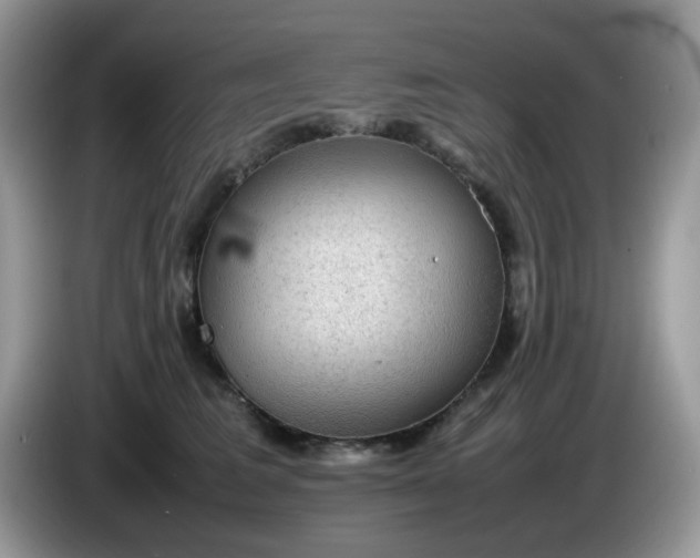 X0000086230613200704121916