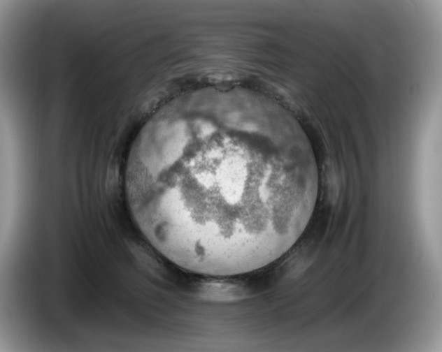 X0000086230614200704121916