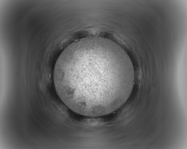 X0000086230615200704121916