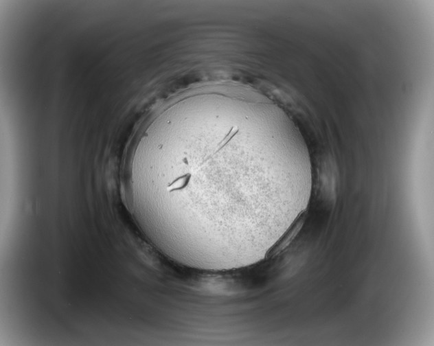 X0000086230616200704121916